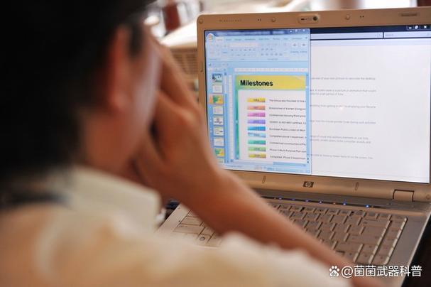 2025年度資訊:大理州強制隔離戒毒所機關信息系統維護服務項目